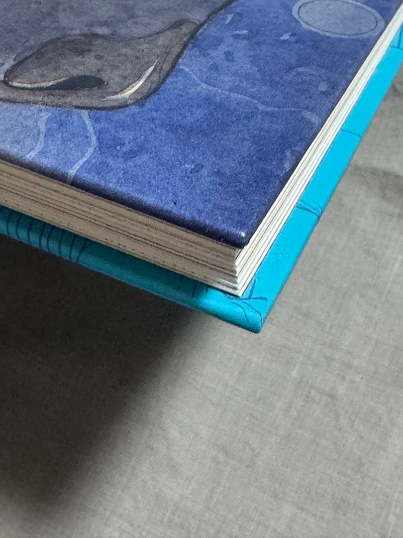 洋書 MOEBIUS: Alla ricerca del tempo