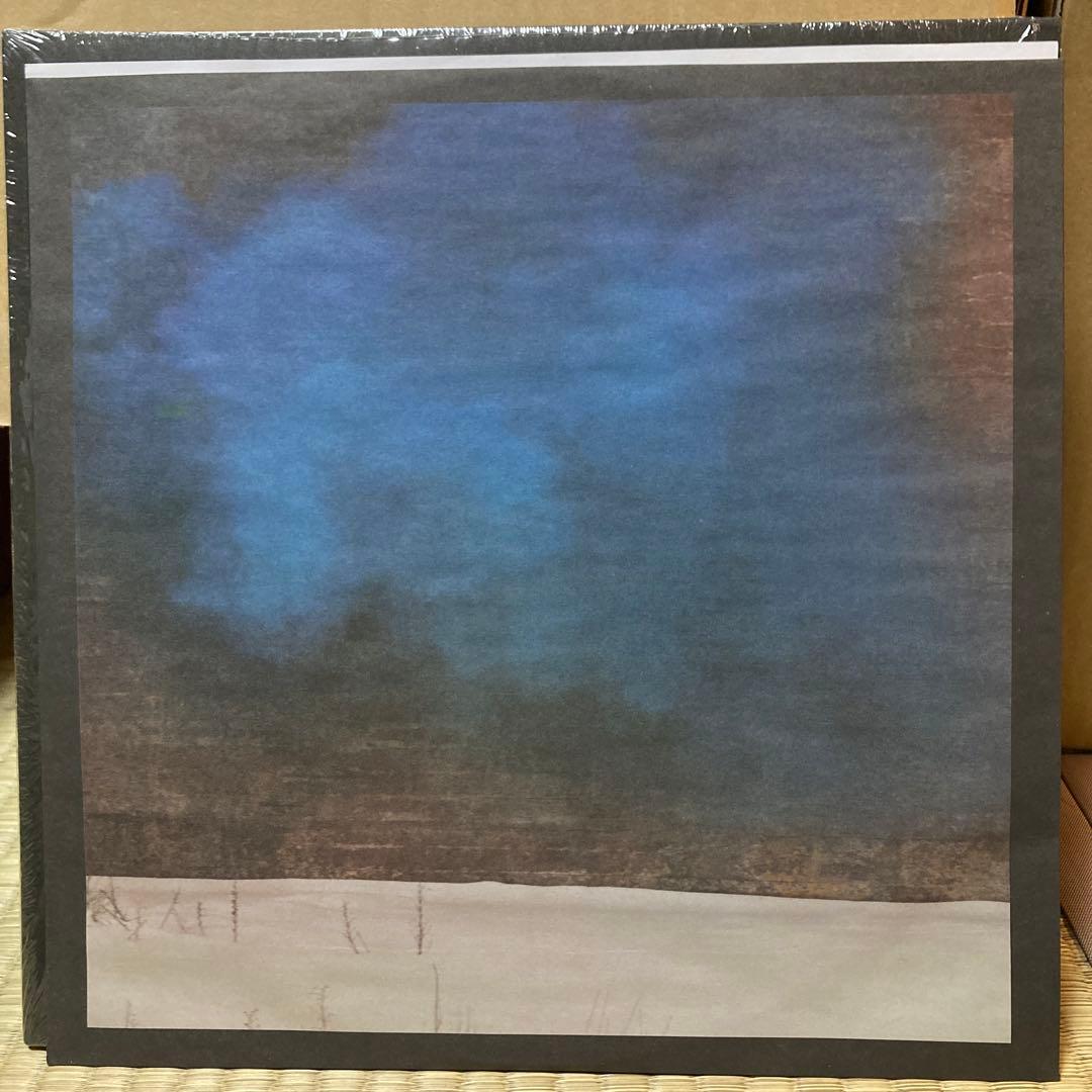 James Blake Overgrown ジェイムス・ブレイク レコード LP