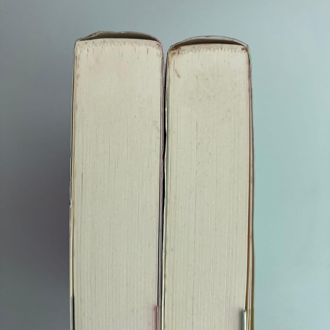 キーナー応用数学 : 変換論と近似論 上下