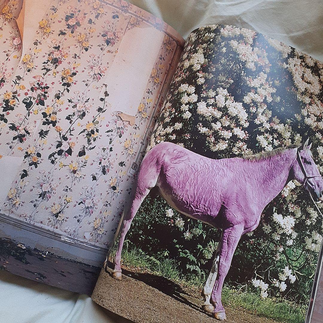 ティム・ウォーカー　写真集