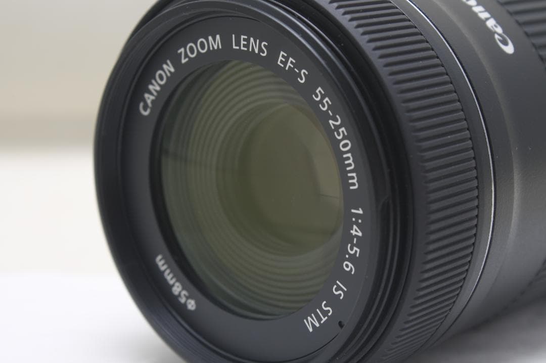 キヤノン EF-S 55-250mm F4-5.6 IS STM 5541