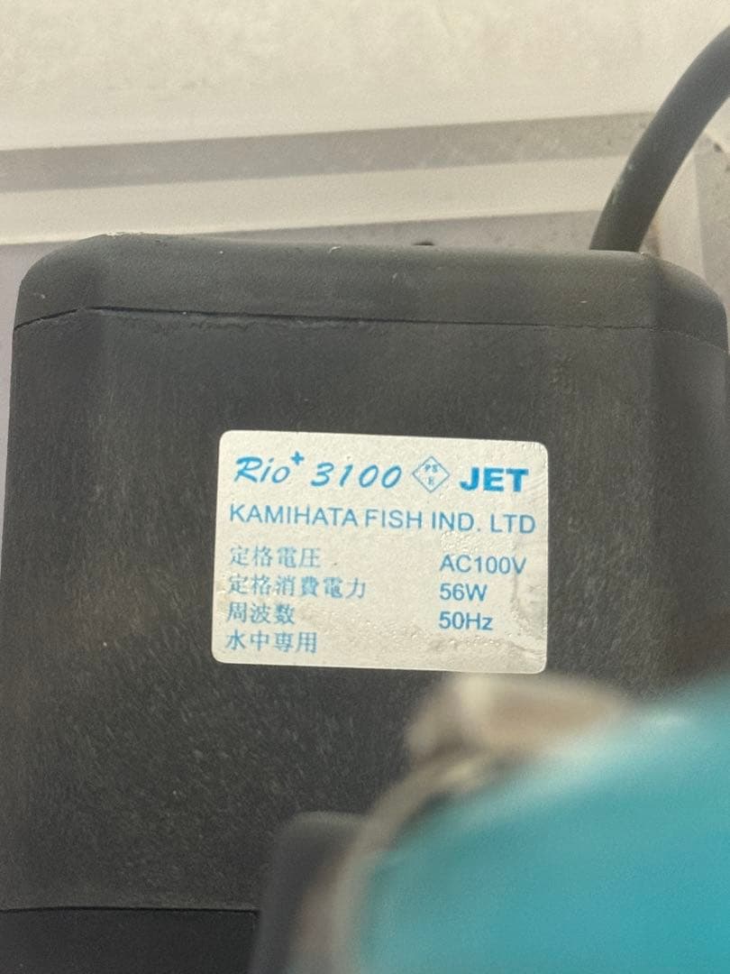 オーバーフロー水槽　ガラス水槽　60cm 海水魚