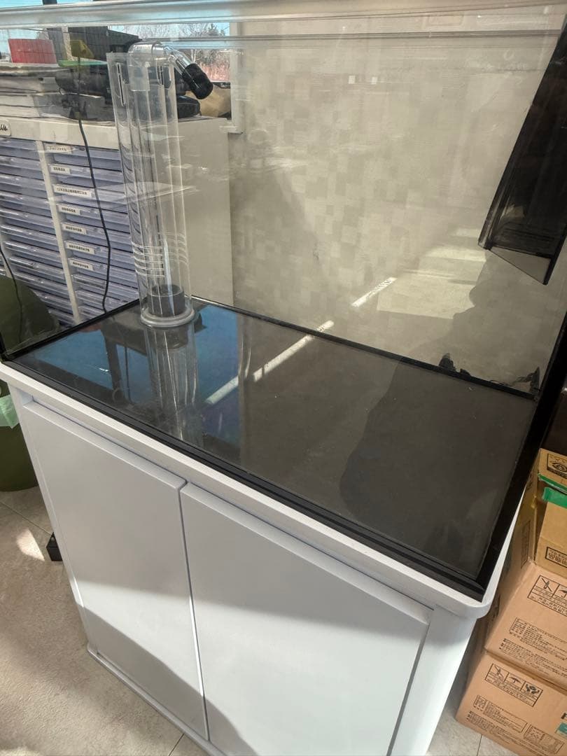 オーバーフロー水槽　ガラス水槽　60cm 海水魚