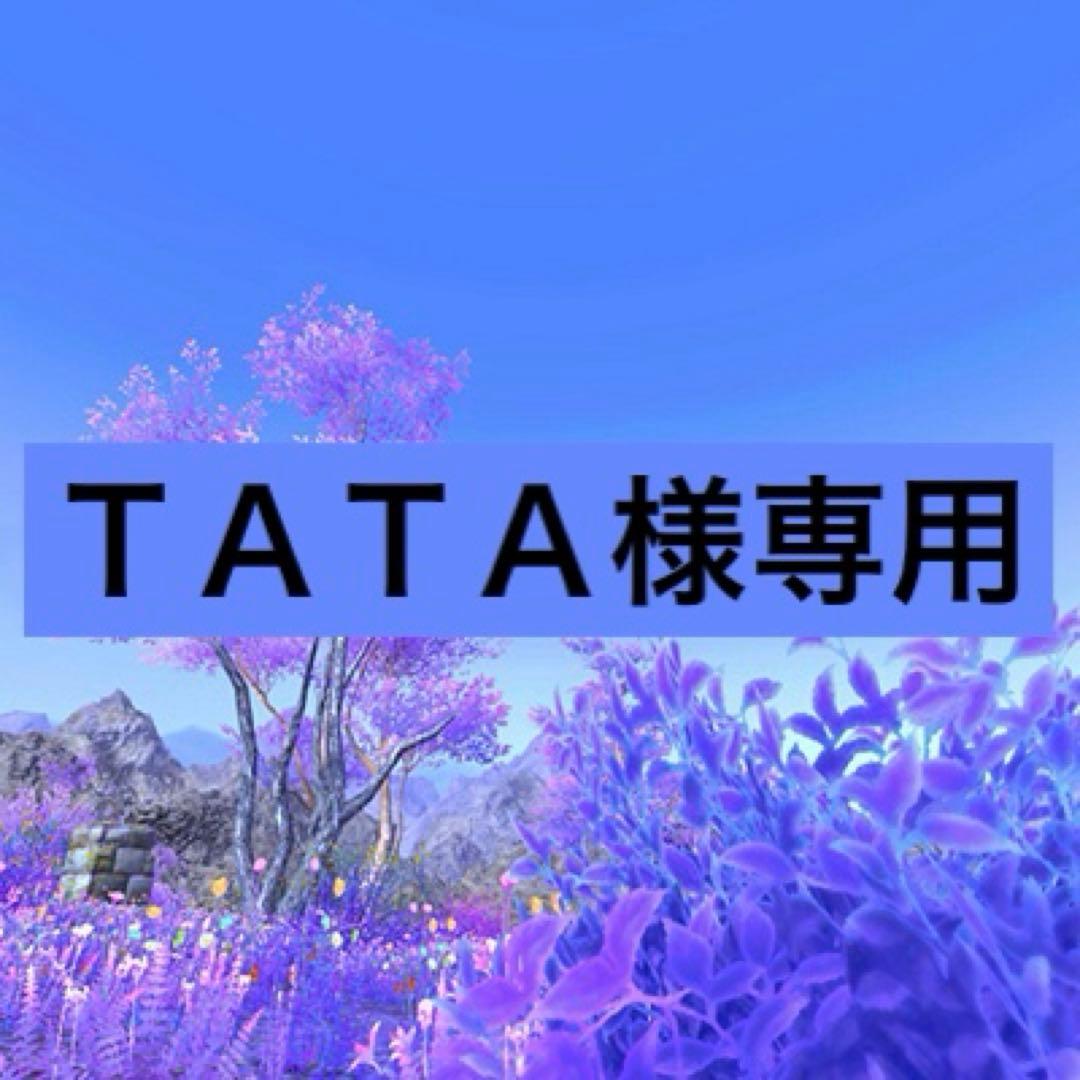 バッグ TATA
