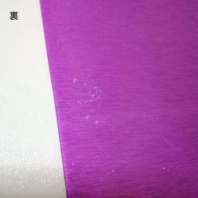 ニコラ・テスラ　ポジティブエナジー・パープルプレート　L　電磁波対策　波動