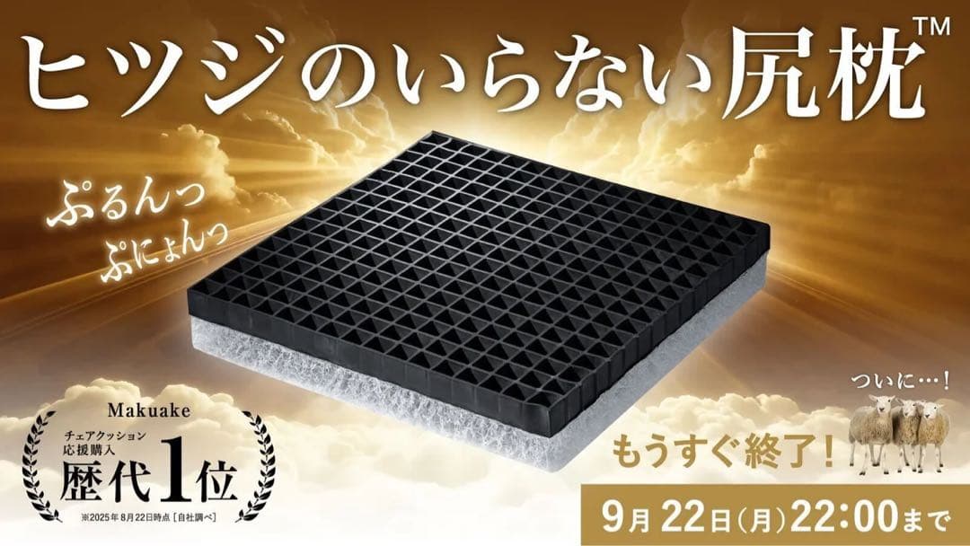 【新品・未使用】ヒツジのいらない枕　尻枕　座布団