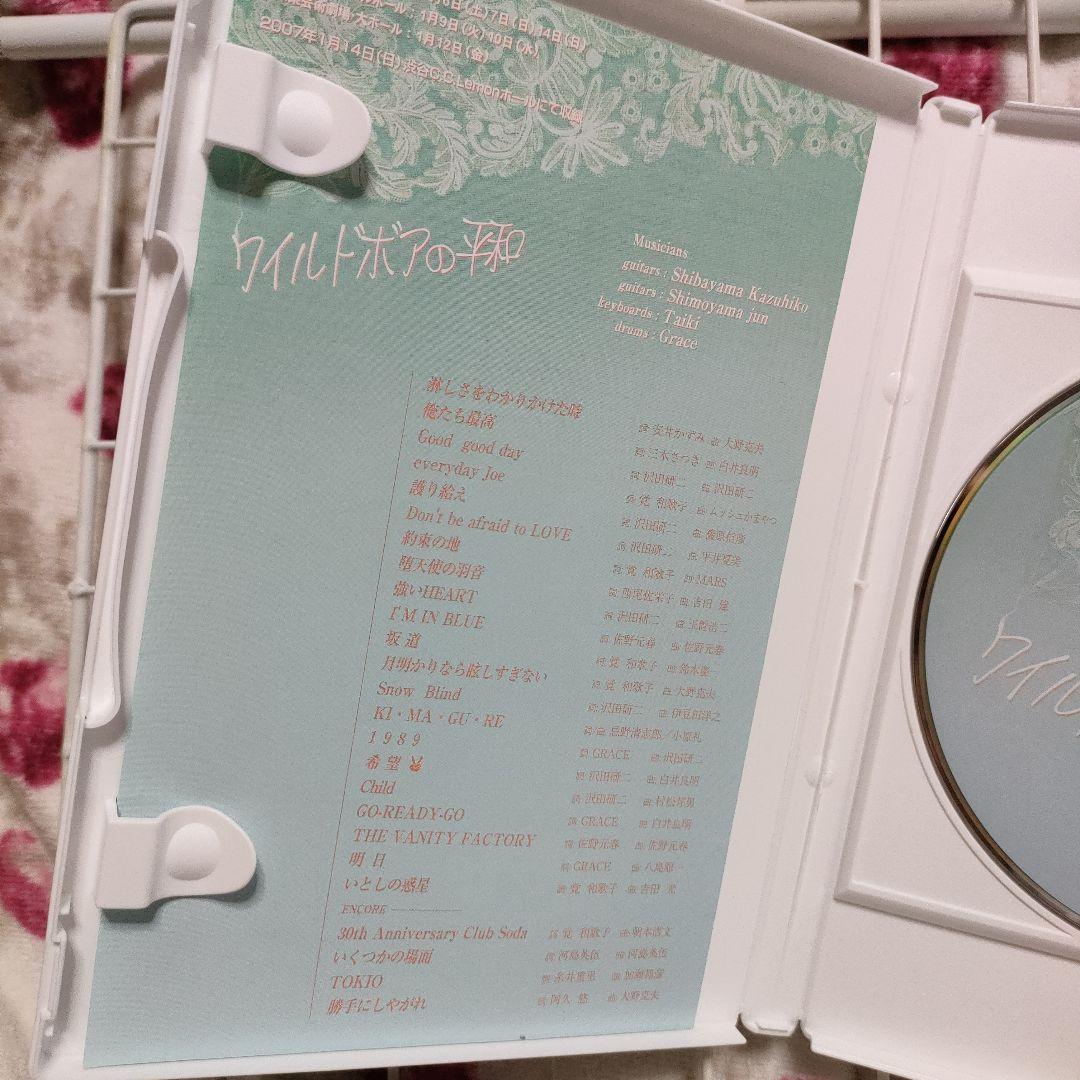 ★DVD『ワイルドボアの平和 SHOGATSU CONCERT 2007』中古