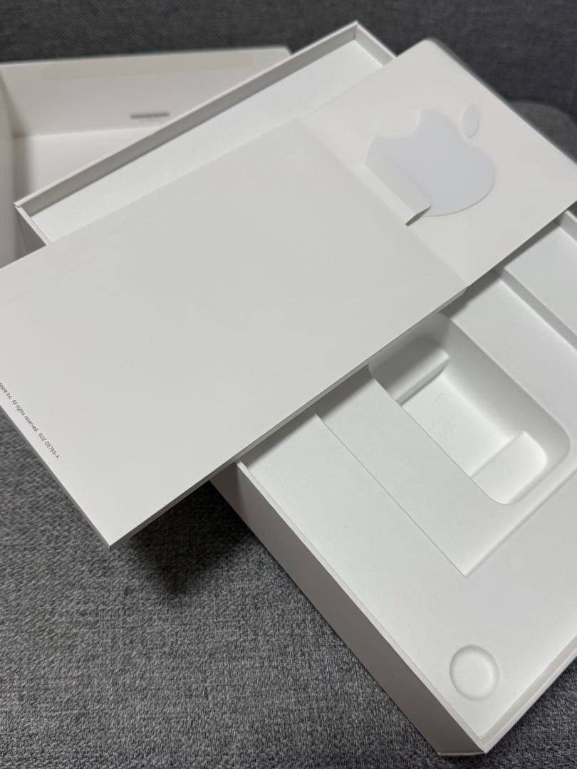 本日限定価格 iPad 第10世代 WiFi Cellular 美品 カバー付き