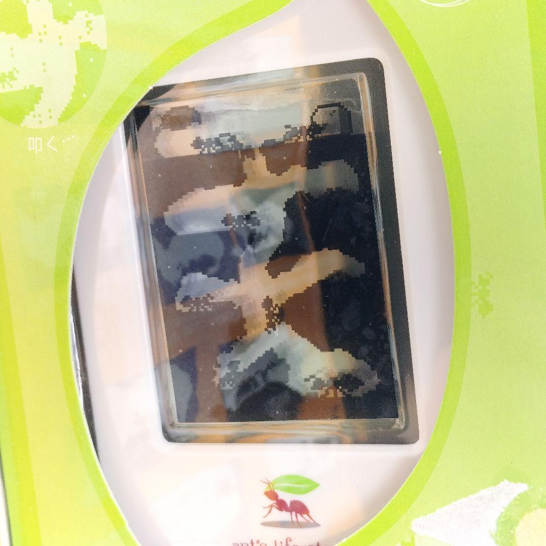 未開封 アンツ ライフ スタジオ デジタル アリの巣 バンダイ