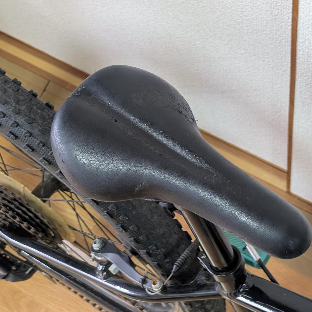 直接引渡し限定 TREK Precaliber 24 トレック 24インチ