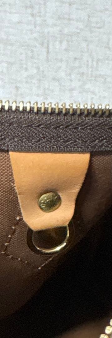 LOUIS VUITTONトートバッグ(スピーディ25cm M41109) 美品