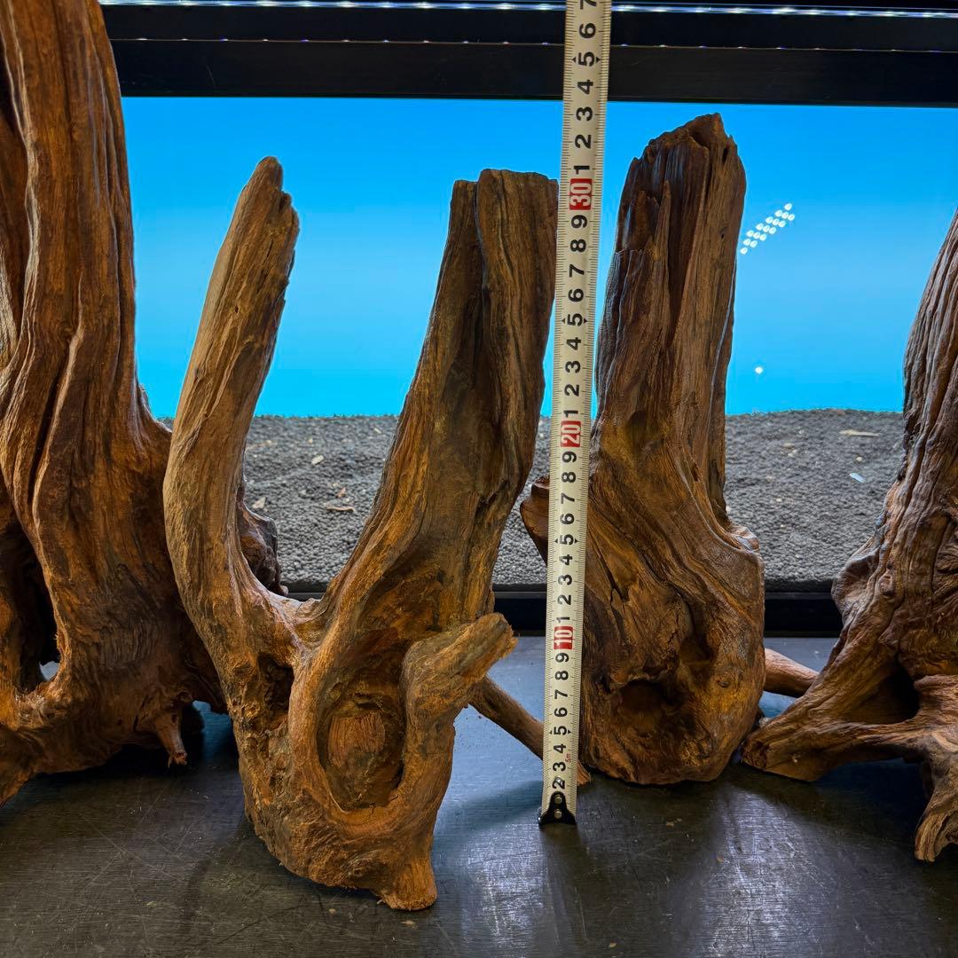 MRW-6798 赤系流木4本セット　90cm水槽用　切株　一点物　アクアリウム