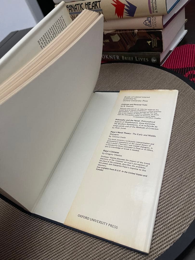 希少　Iris Murdoch The fire & the sun