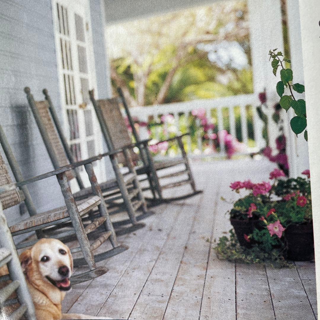 趣味 Victoria August 2000 our secret sources