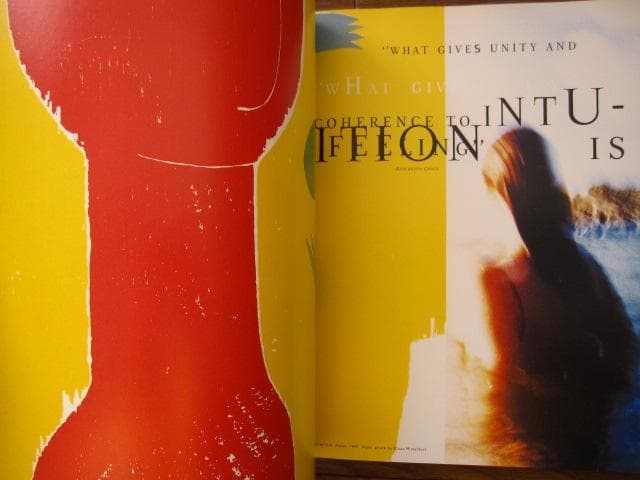 アート・デザイン・音楽 David Carson: 2ndsight: Grafik Design