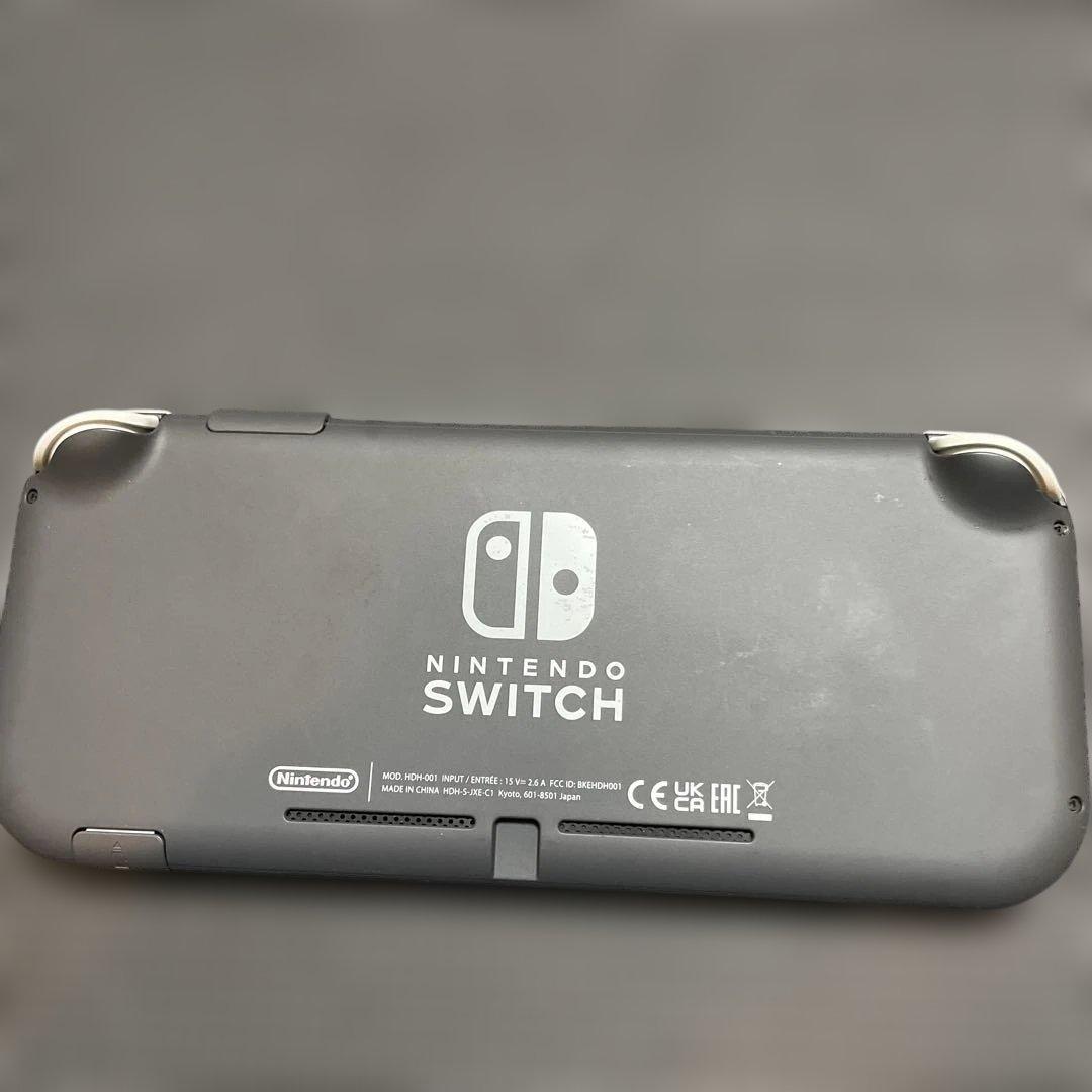 Nintendo Switch Lite ターコイズ　グレー　本体2台
