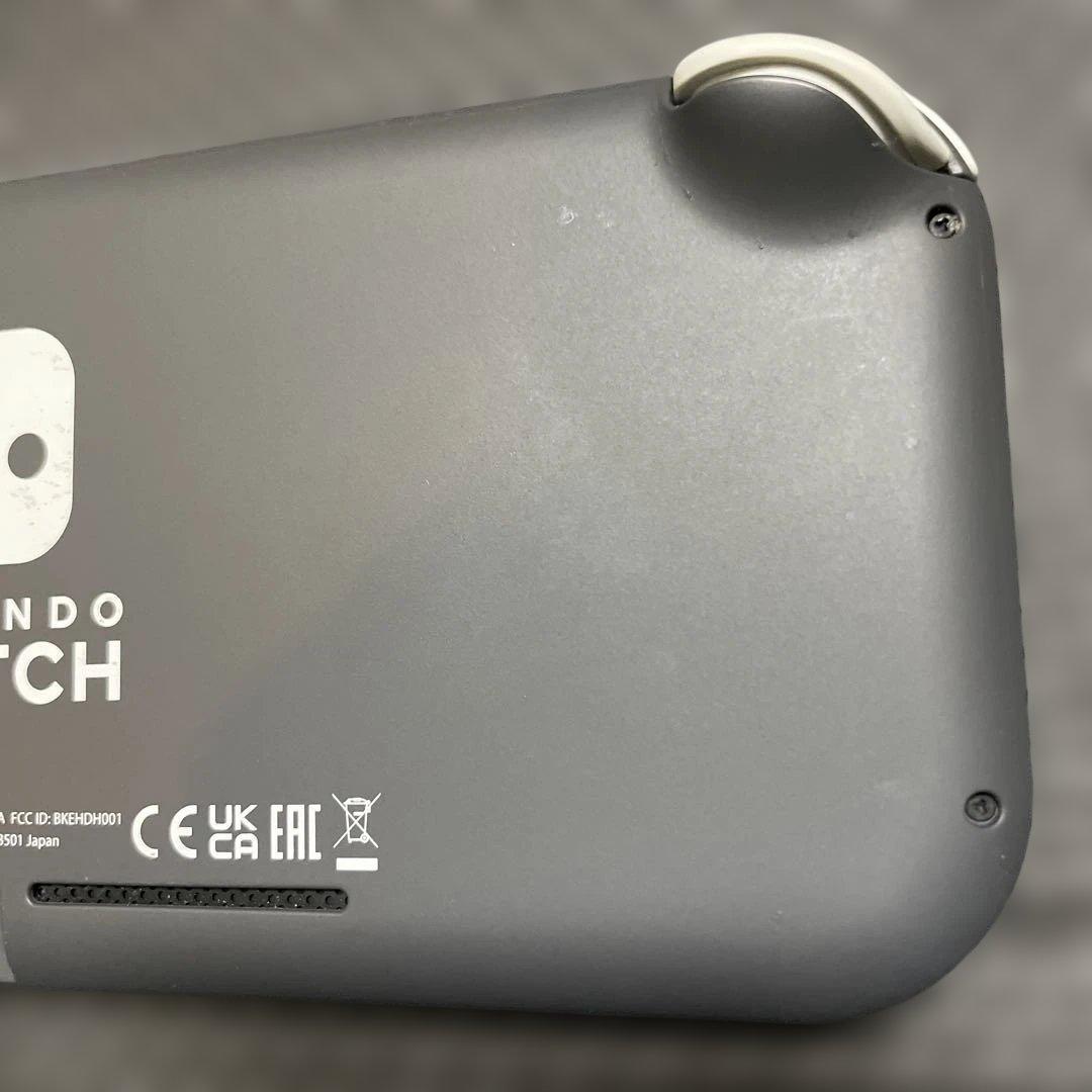 Nintendo Switch Lite ターコイズ　グレー　本体2台