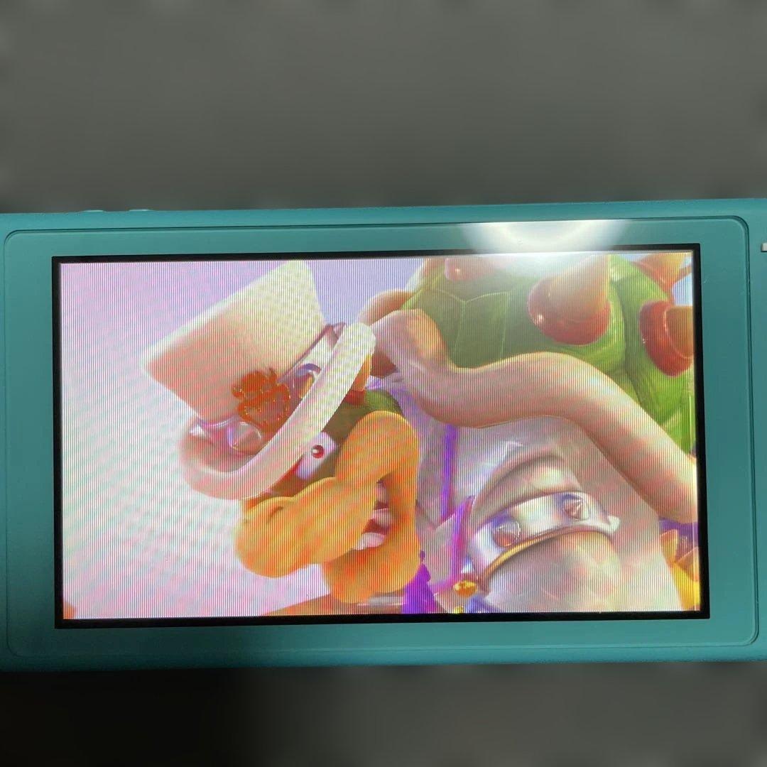 Nintendo Switch Lite ターコイズ　グレー　本体2台