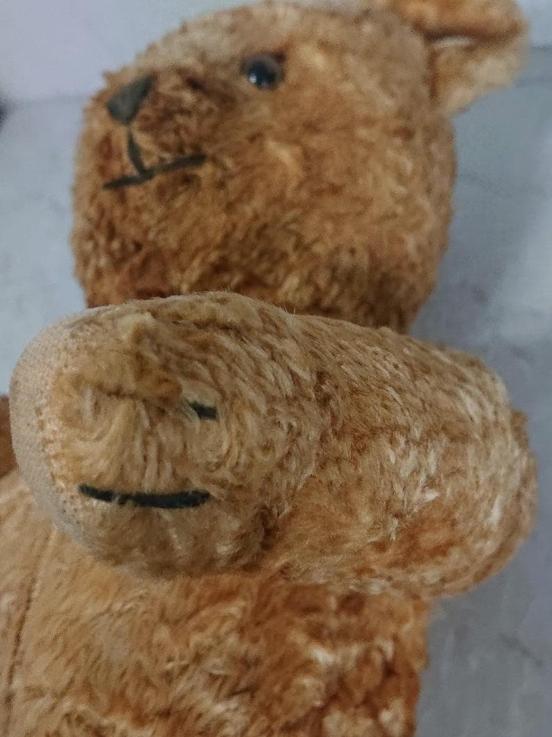 m☆y★古いテディベア★かわいいです