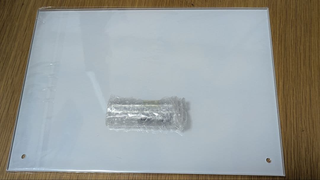 アインシュタインより愛を込めて　豪華限定版　早期予約特典　中古品