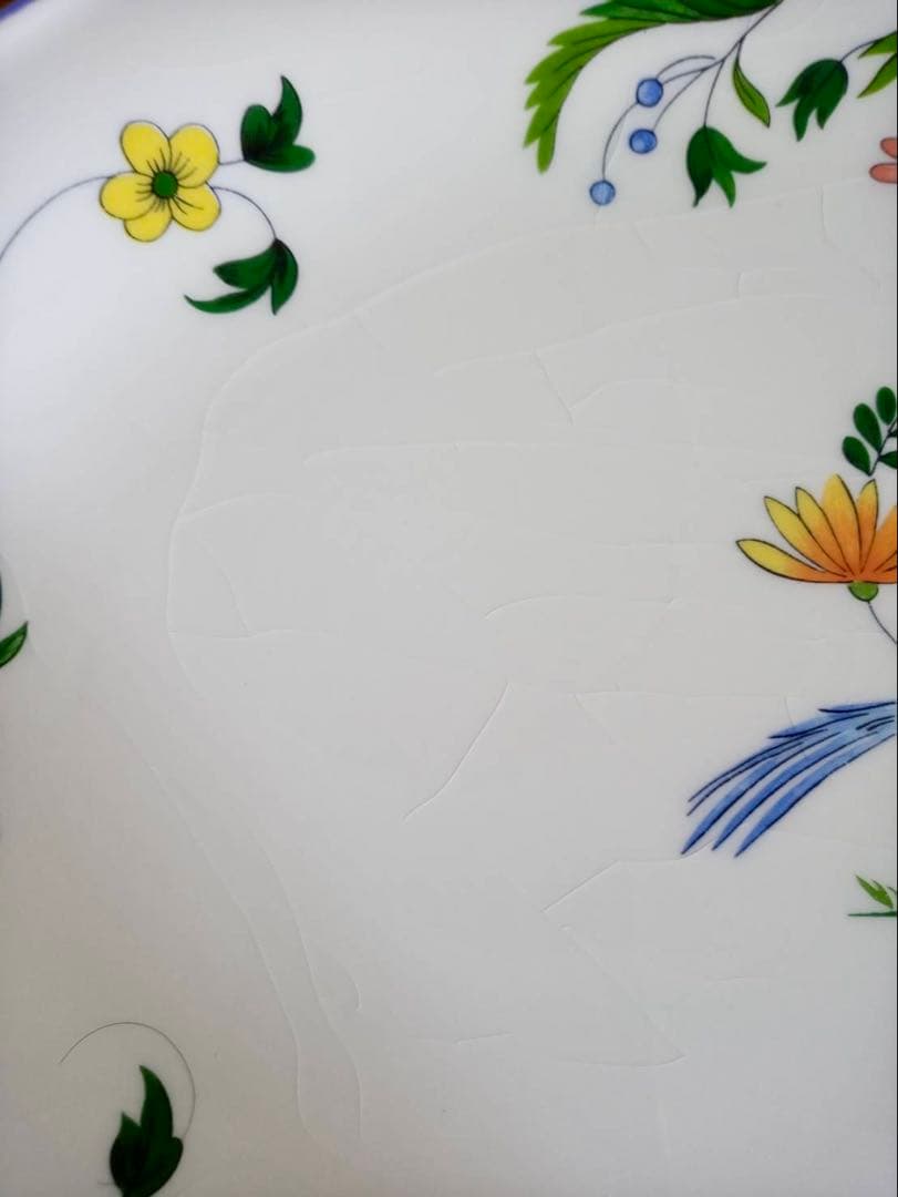 Gien ジアン オワゾパラディ　オーバルプレート　2枚セット　大皿　楕円形