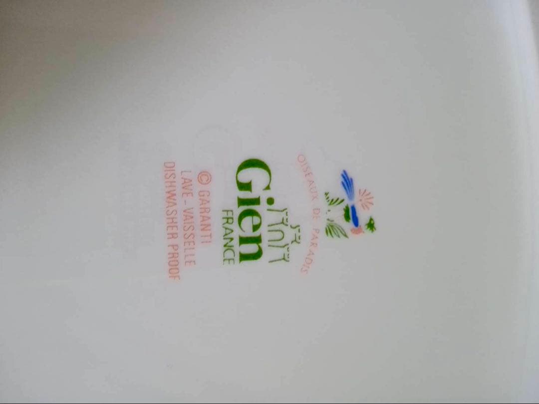 Gien ジアン オワゾパラディ　オーバルプレート　2枚セット　大皿　楕円形