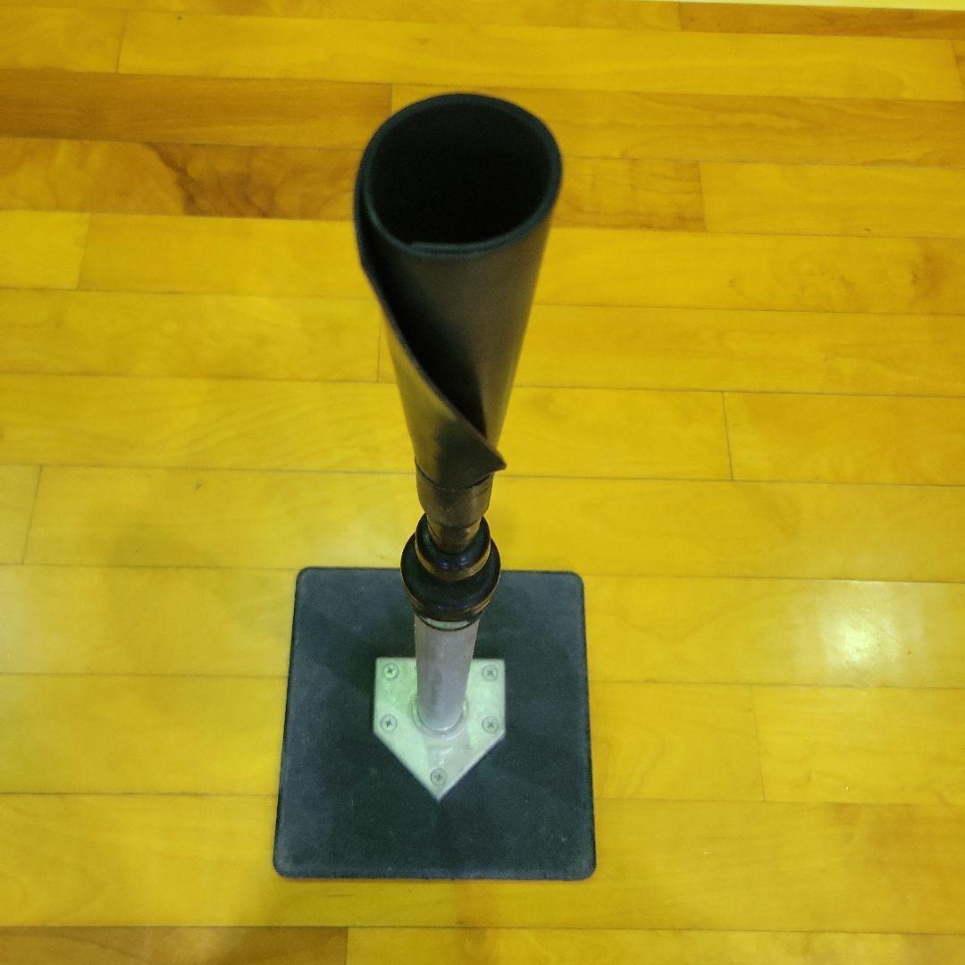 タナーティー　正規品　レギュラーサイズ