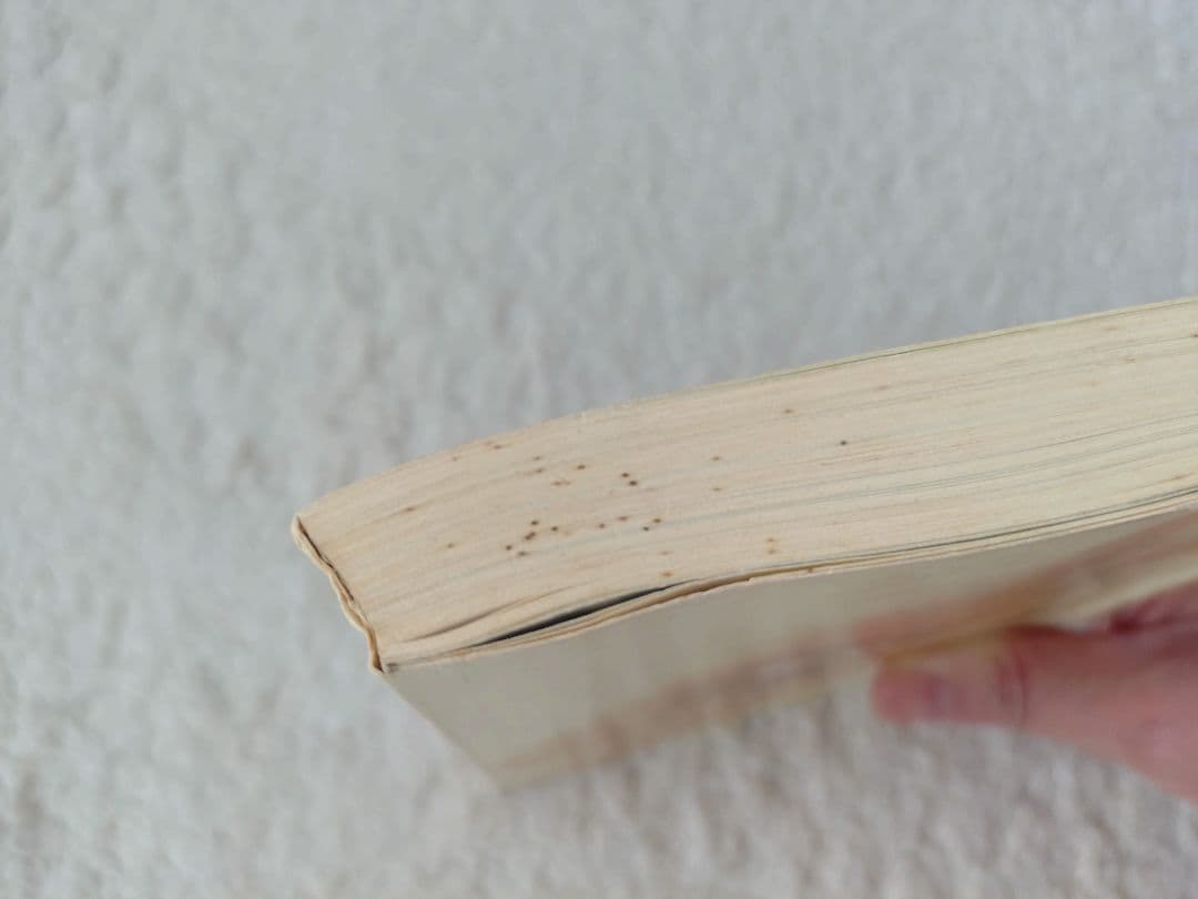 クレスオルデンバーグ Claes Oldenburg Notes in Hand