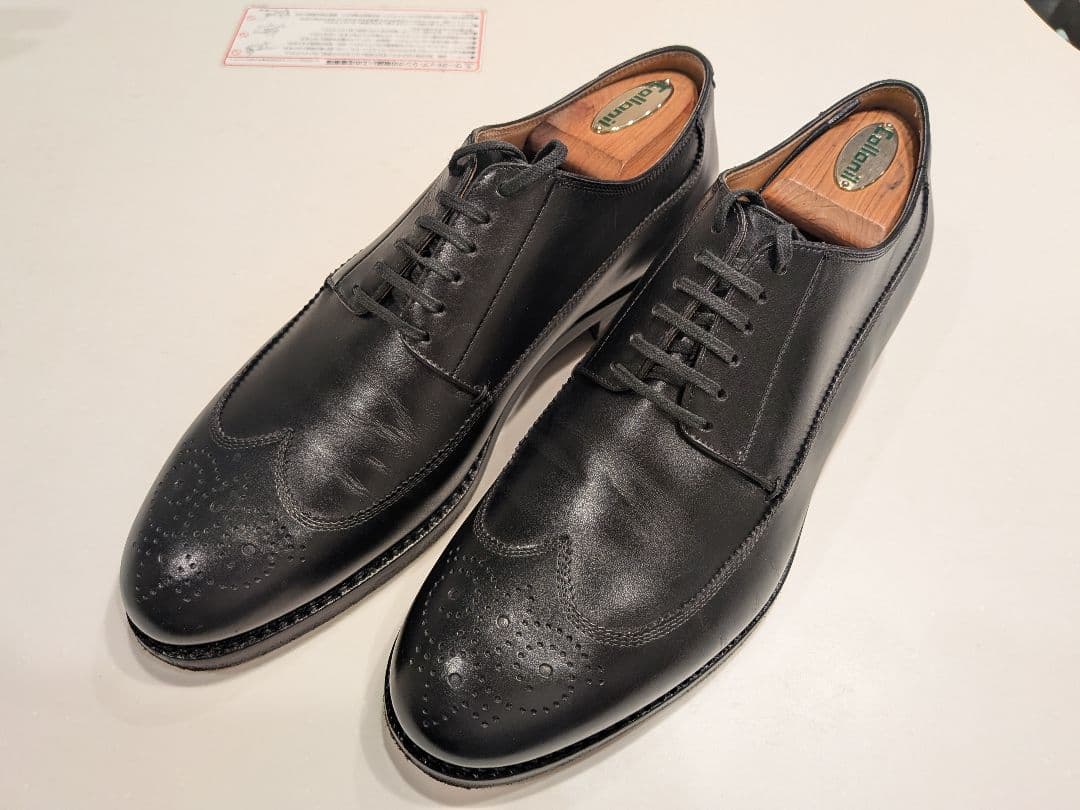 名作【F.LLI Giacometti】FG126 ウィングチップ