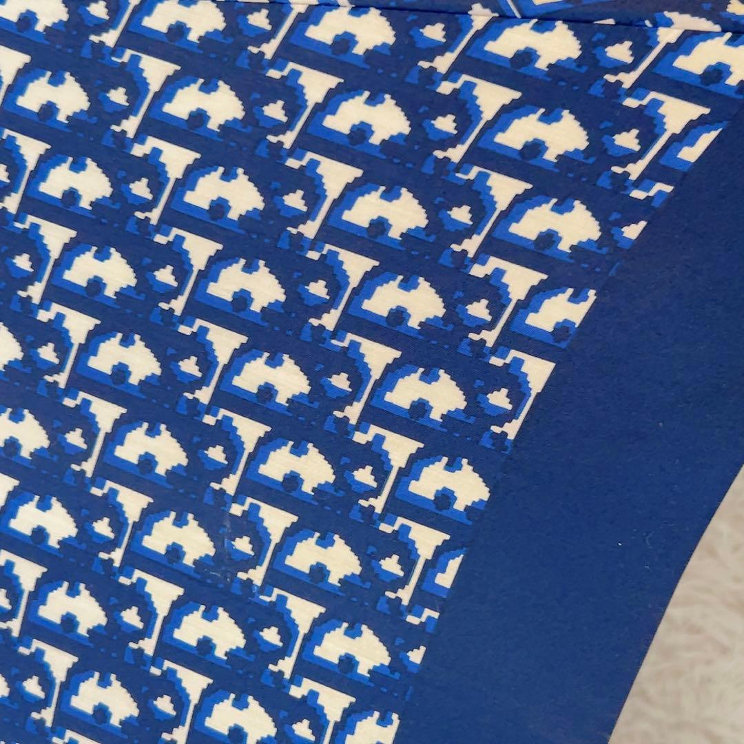 Christian Dior クリスチャンディオール 長傘 雨傘 トロッター