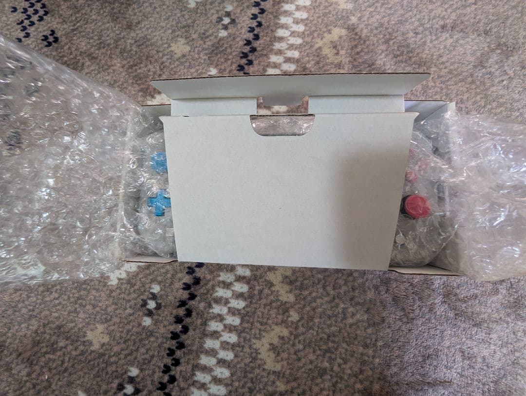 任天堂SwitchLight限定 ポケモンカラー