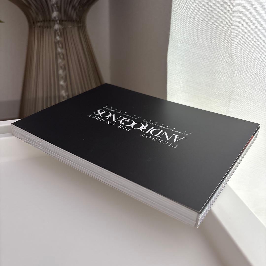 ミュージック ANDROGYNOUS PIERROT DIR EN GREY