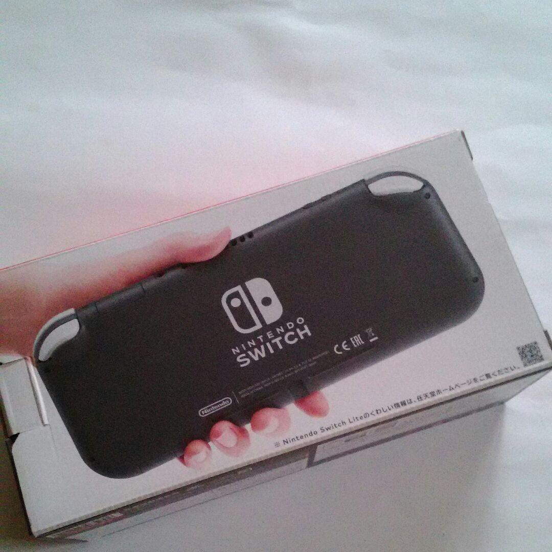 Nintendo Switch Nintendo  Switch  Lite   Gray