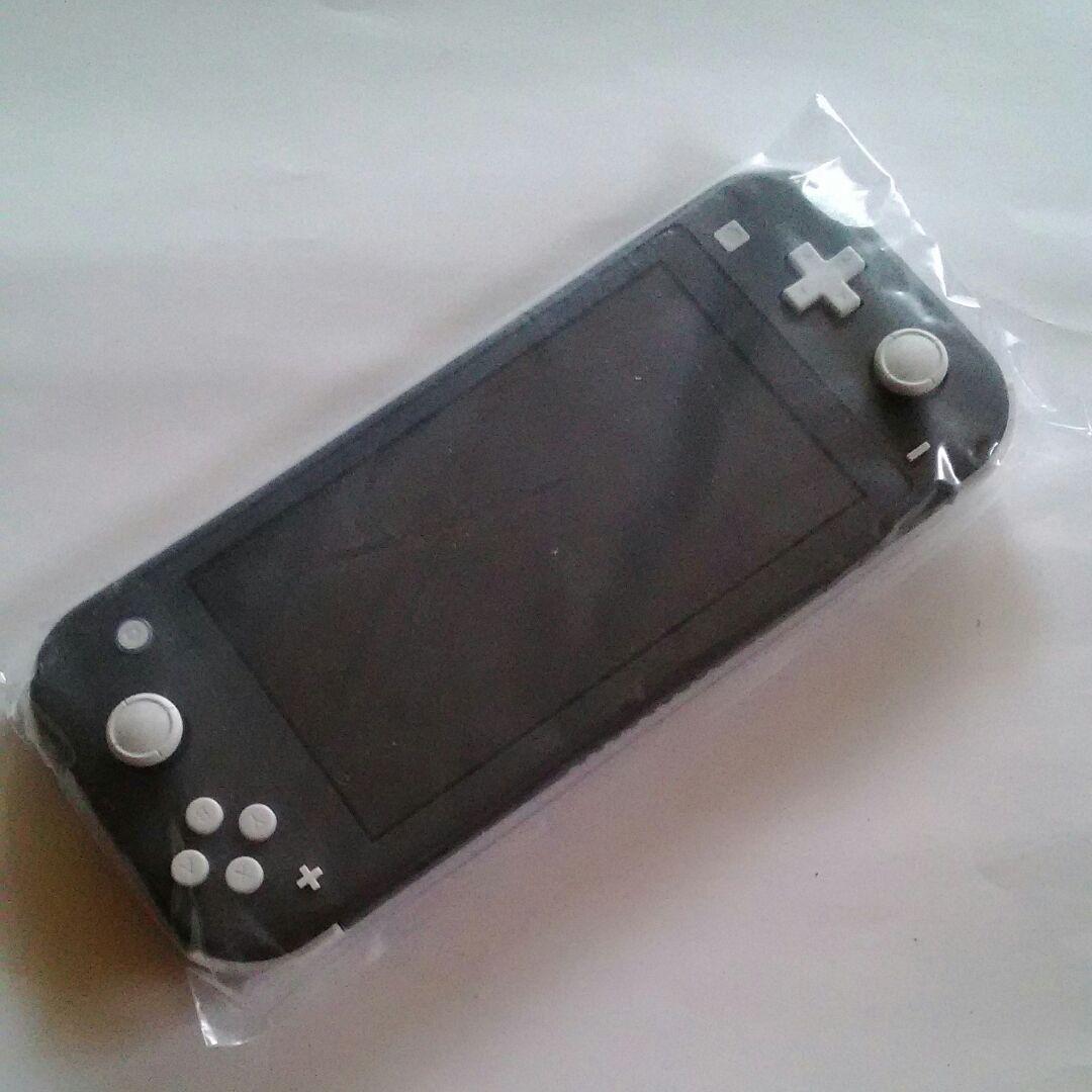 Nintendo Switch Nintendo  Switch  Lite   Gray