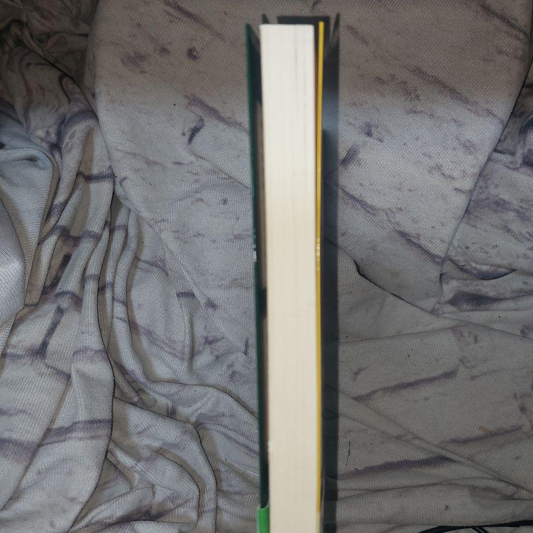 商店街IT革命―烏山方式のスタンプと共通商品券で商店街を活性化