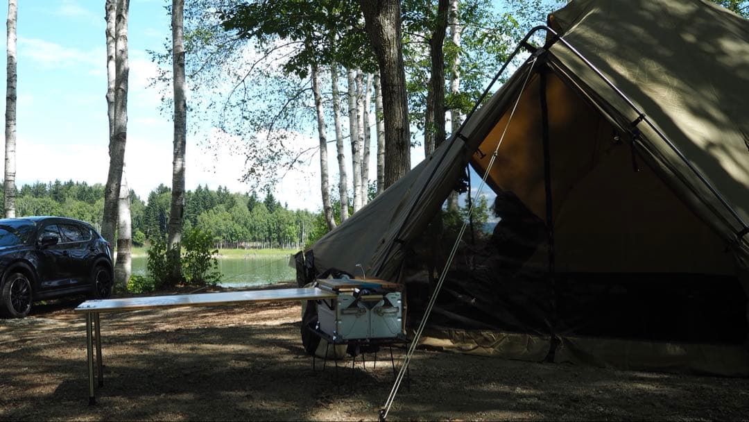 ゼインアーツ ゼクー L 付属品完備