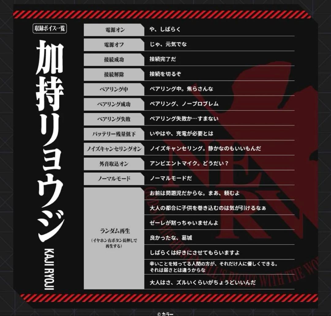 TE-V1R-EVA AVIOT ワイヤレスイヤホン