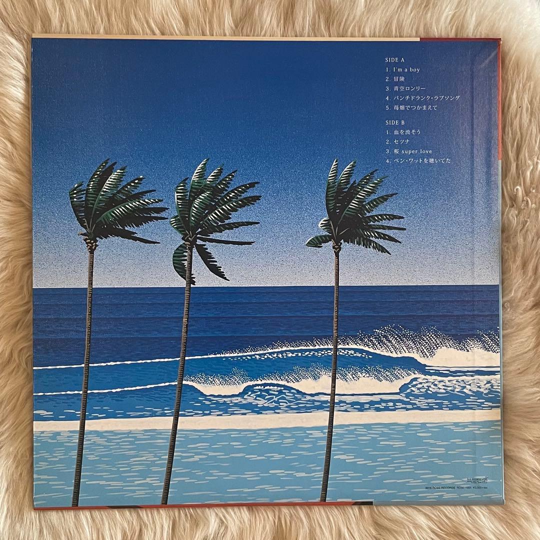 サニーデイサービス / Dance To You 2nd LP レコード盤