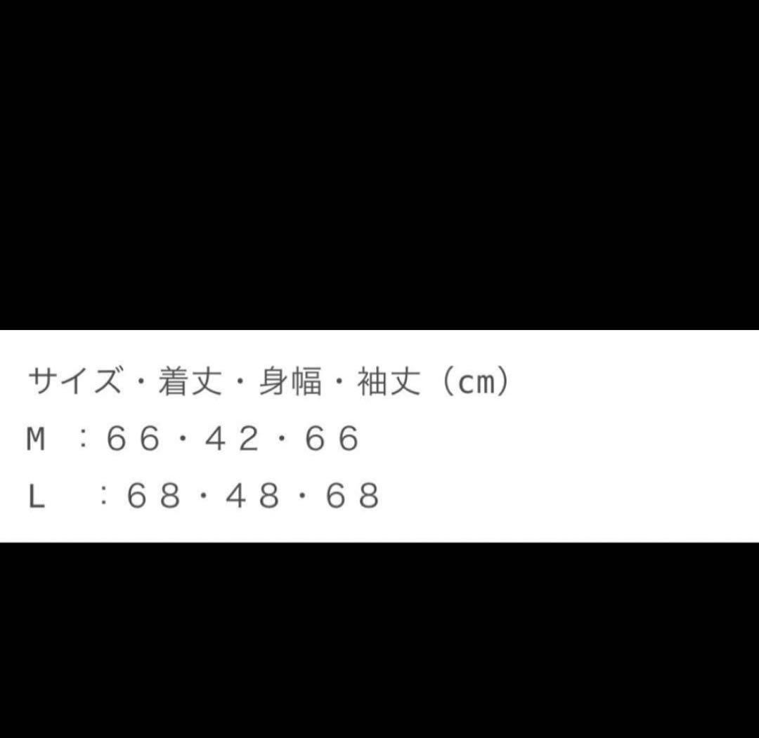 【新品未使用】Lサイズ VALLAD V.HENRY NECK L/S サーマル