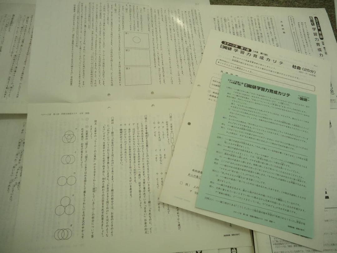 日能研4年　全国公開模試7回/学習力育成19回/春/夏/冬テスト2017年