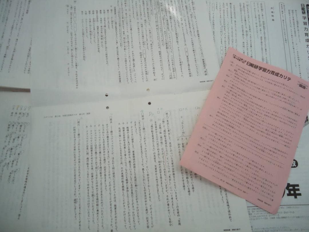 日能研4年　全国公開模試7回/学習力育成19回/春/夏/冬テスト2017年