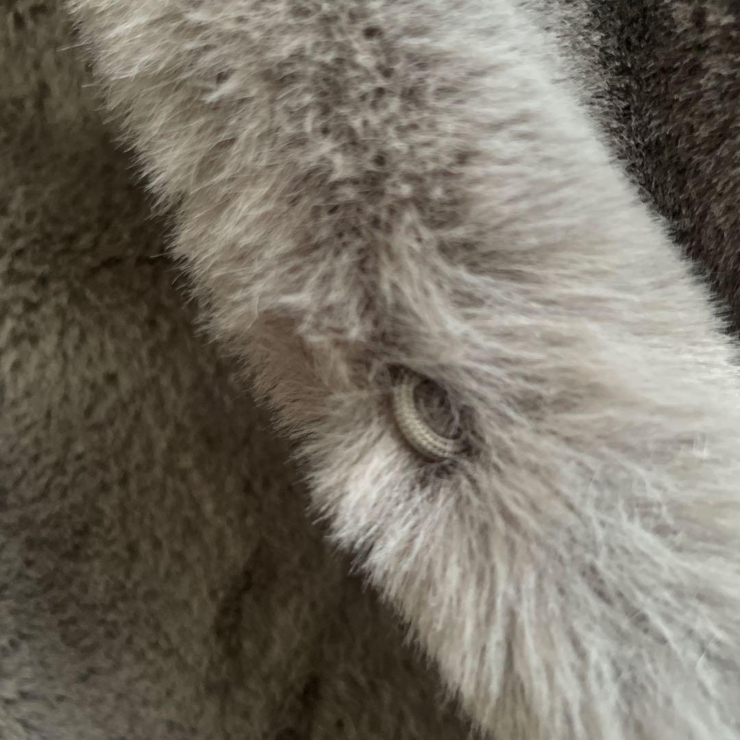 【値下げ】PASSIONE パシオーネ　フェークファー　フード付きベスト