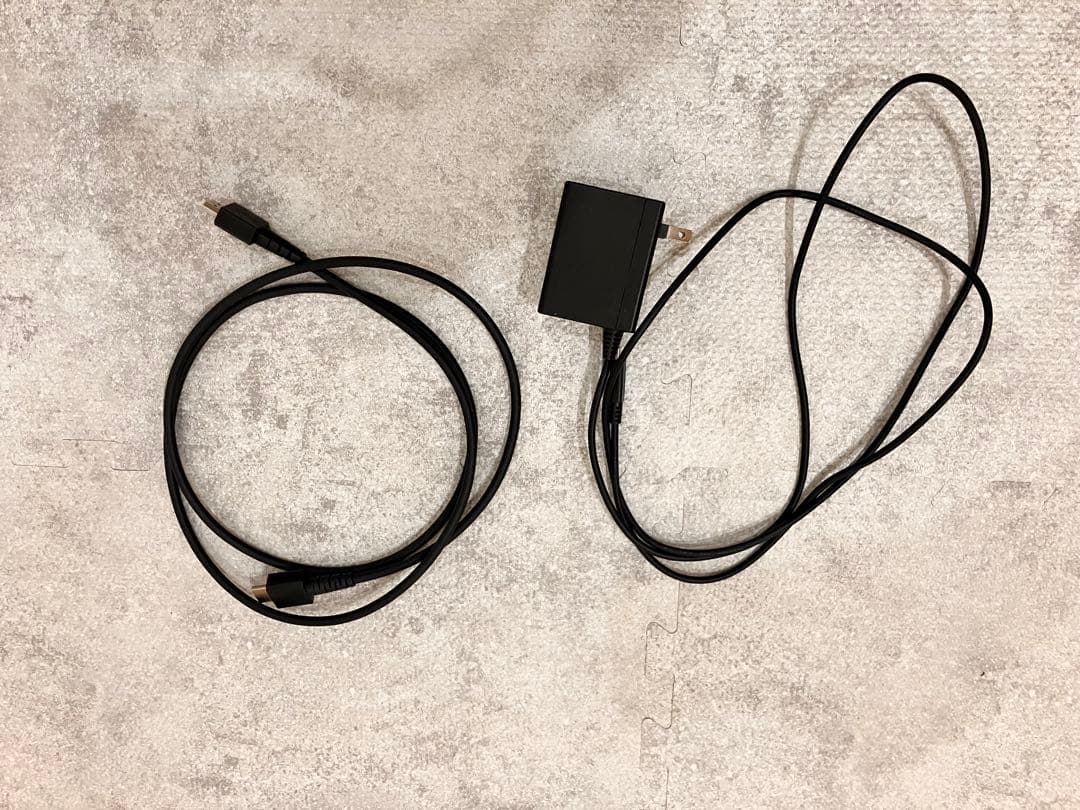 Nintendo Switch 本体 あつまれ　どうぶつの森セット