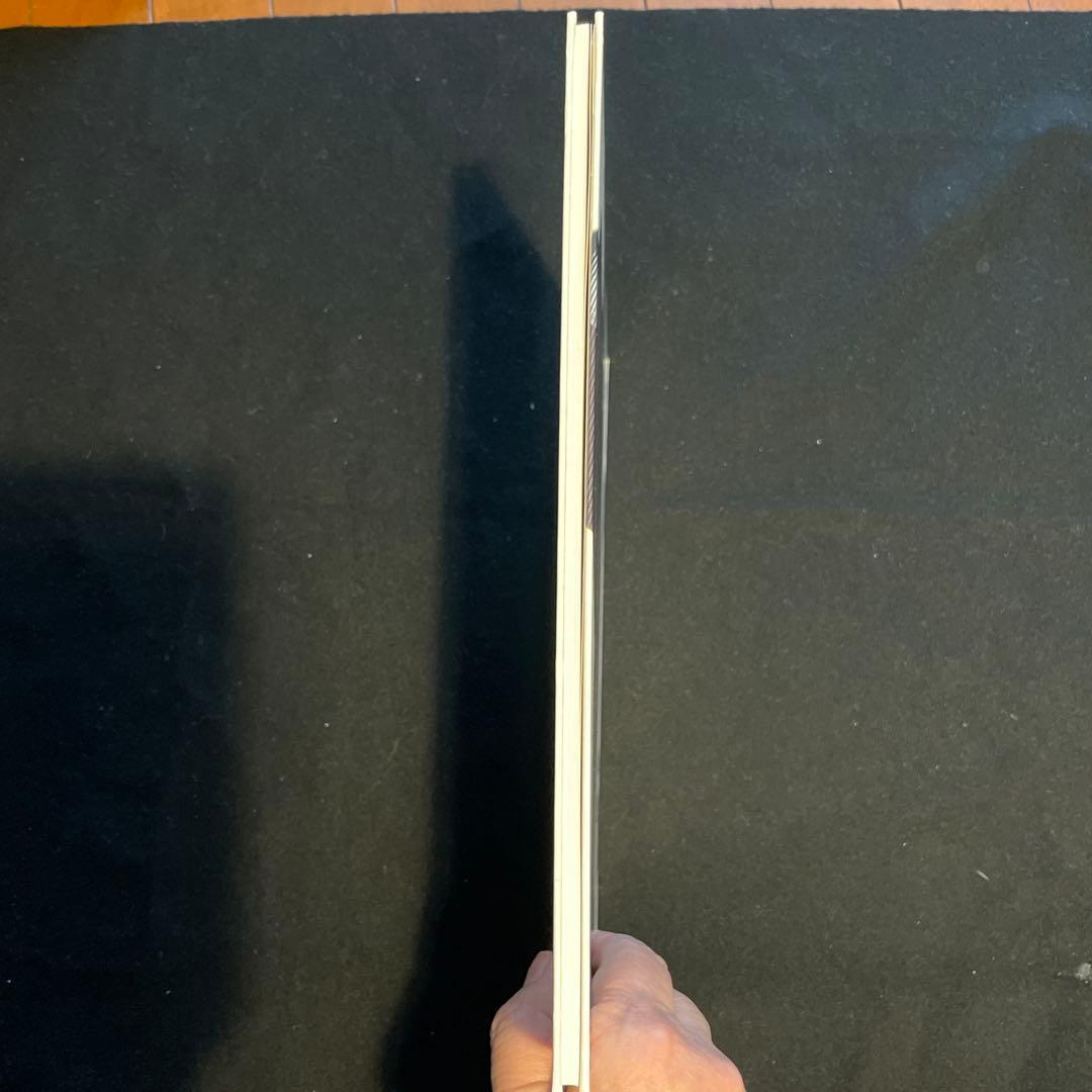 ISSEY MIYAKE BY IRVING PENN 世界で3000冊限定レア