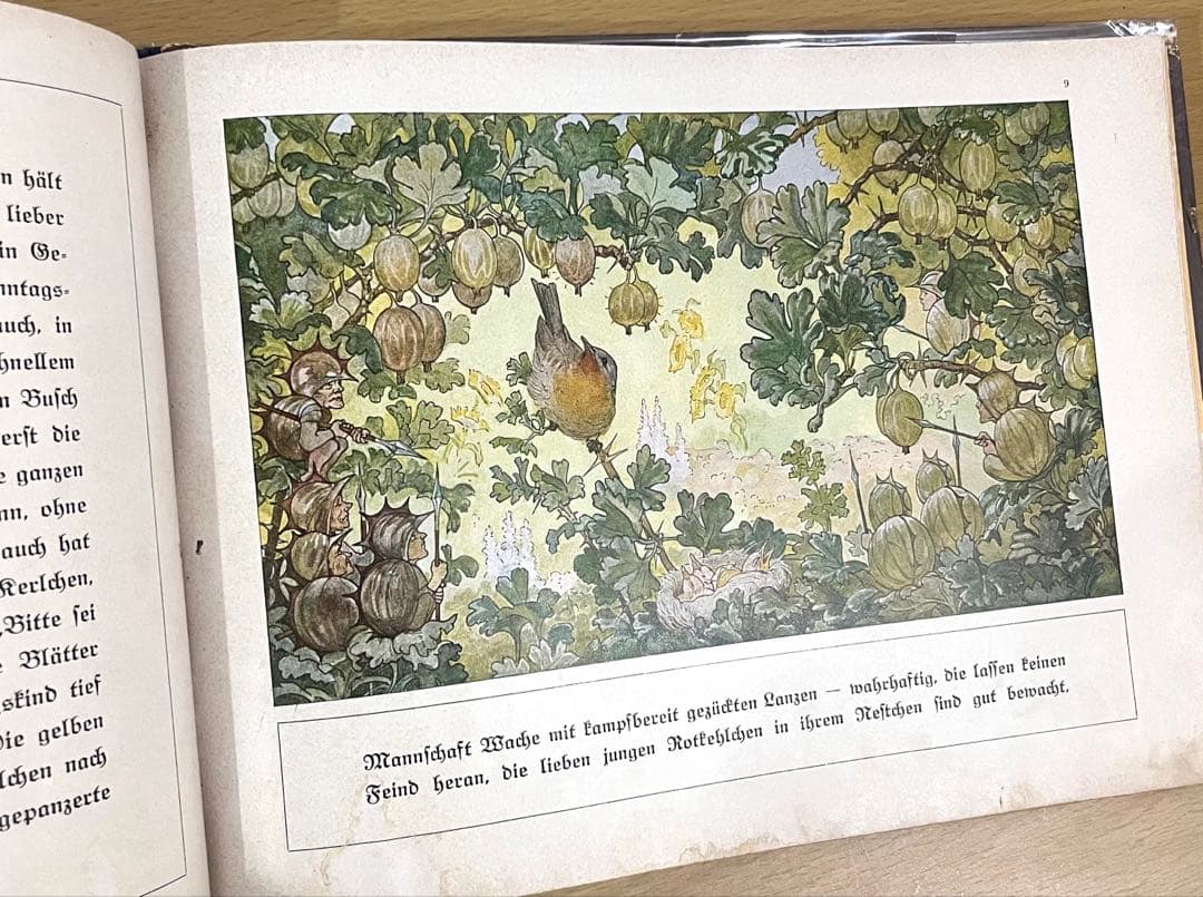 NO.302 超希少 レア 古書 アンティーク 洋書 児童書 ドイツ　妖精　小人