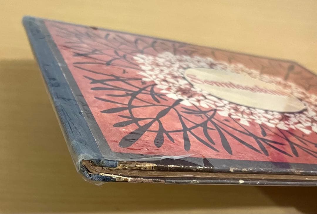 NO.302 超希少 レア 古書 アンティーク 洋書 児童書 ドイツ　妖精　小人