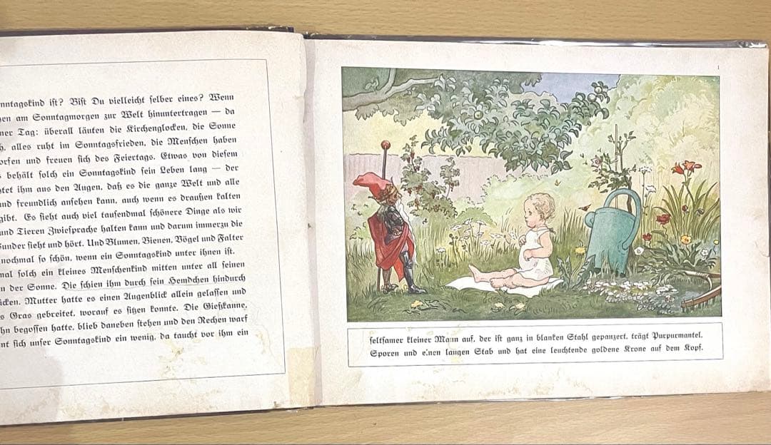 NO.302 超希少 レア 古書 アンティーク 洋書 児童書 ドイツ　妖精　小人