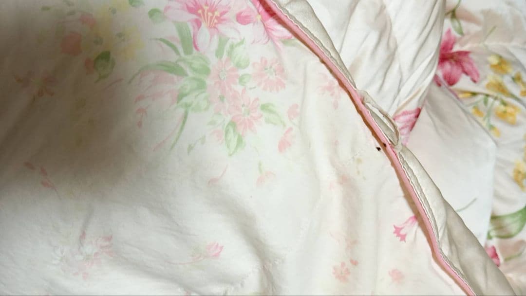 tak-tgo　丸八真綿　ソワリー　ダウン90%　羽毛1.5キロ　シミあり