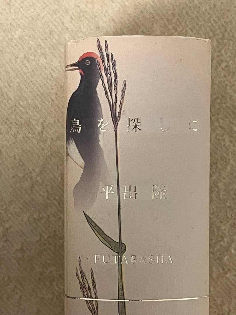 鳥を探しに　平出隆