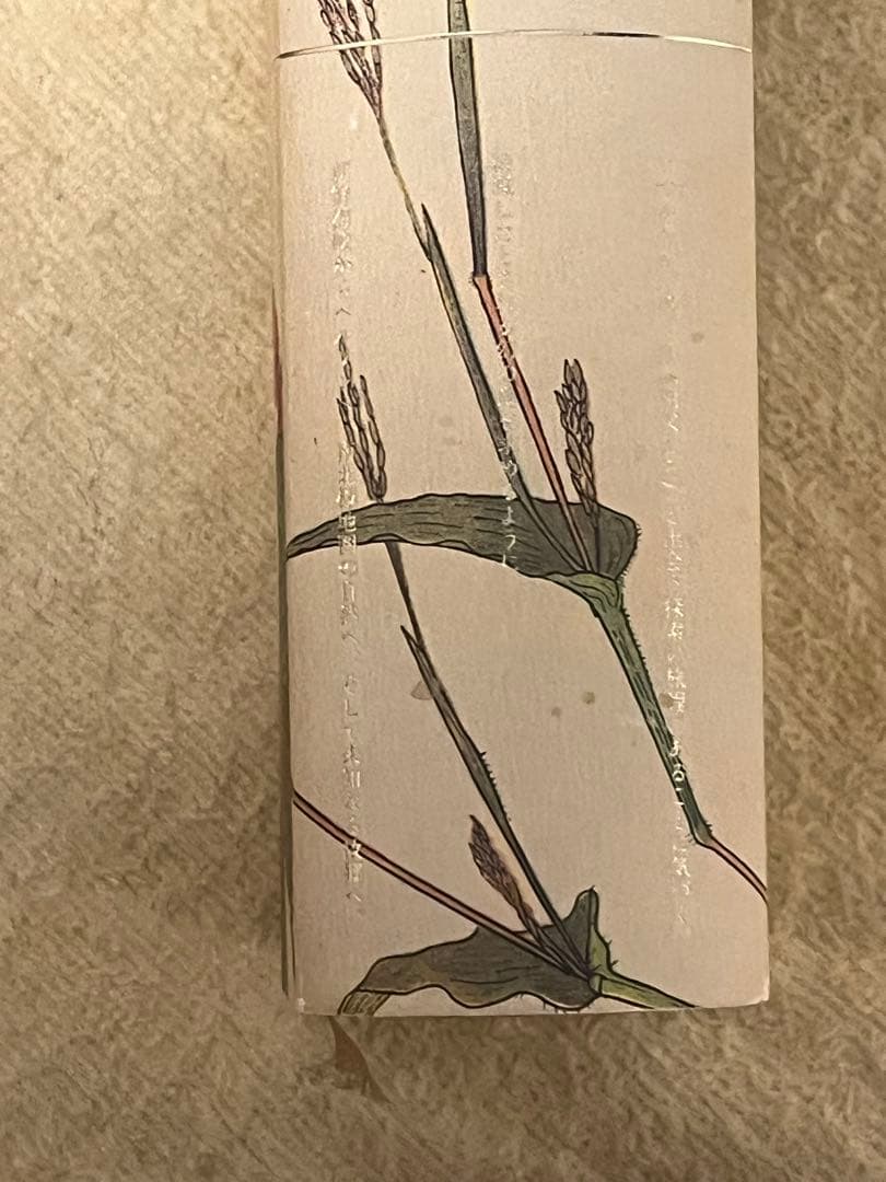 鳥を探しに　平出隆